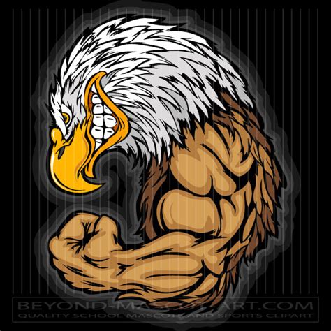 Muscular Eagle Mascot Vector Format  Eps