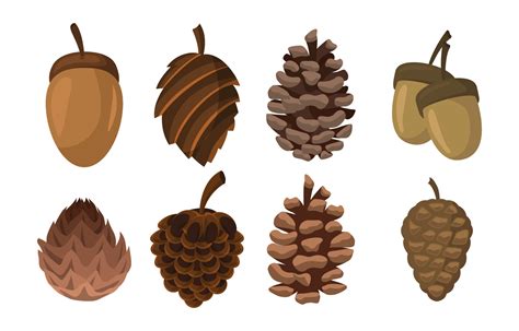 Pine Cone