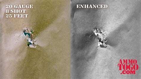 12 Gauge vs. 20 Gauge - What is the Superior Shotgun Caliber?