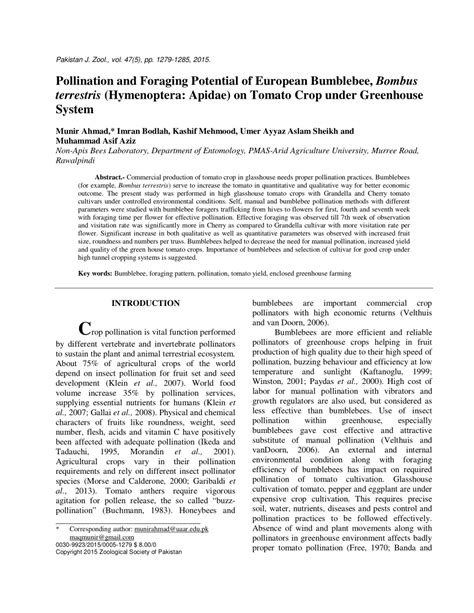 (PDF) Pollination and Foraging Potential of European Bumblebee, Bombus terrestris (Hymenoptera ...