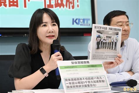 談在野整合 藍委謝衣鳯：還在打草稿「民進黨就很害怕」 政治 自由時報電子報