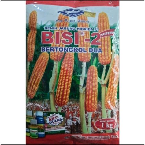 Jual Benih Jagung Hybrida BISI 2 Super Bibit Jagung Bertongkol 2