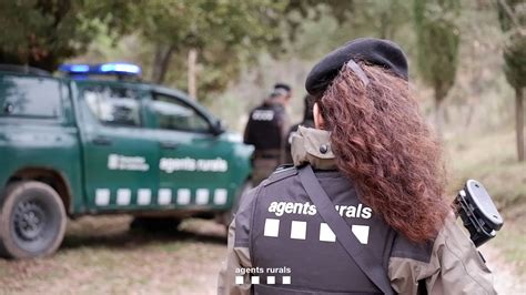 Agents Rurals Denuncien Una Persona Per Un Delicte Contra La Fauna I S