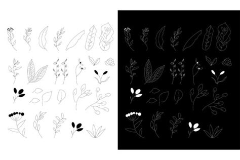 Floral Doodle Collection Graphic By Griyolabs · Creative Fabrica