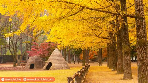 5 Destinasi Wisata Musim Gugur Di Korea Selatan Dijamin Cantik