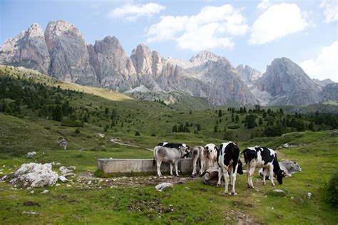 Dolomites Hiking Tours With Local Guides Hours