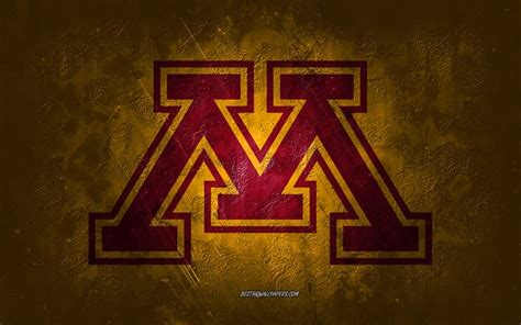 Download wallpapers Minnesota Golden Gophers, American football team ...