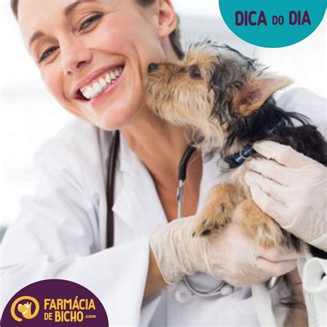 importancia de levar seu pet ao medico veterinario Blog da Farmácia