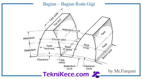 24 Bagian Roda Gigi Dan Artinya Lengkap Teknikece