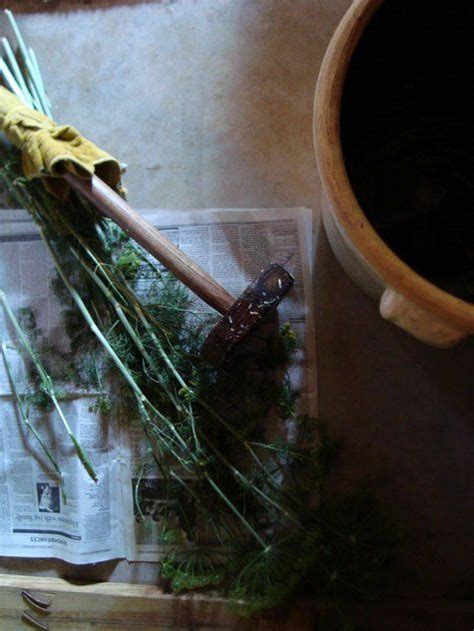 Mason Jar Sauerkraut Is Surprisingly So Easy To Make Recipe