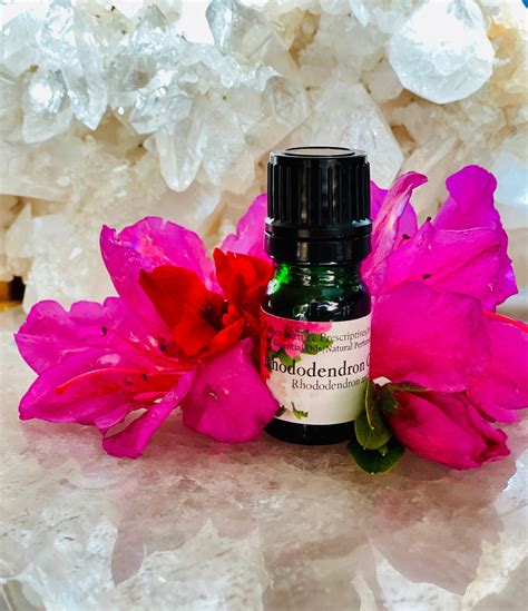 Rhododendron Essential Oil Essential Oil Apothecary