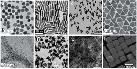 Gold Nanoparticles and Their Applications - CD Bioparticles Blog