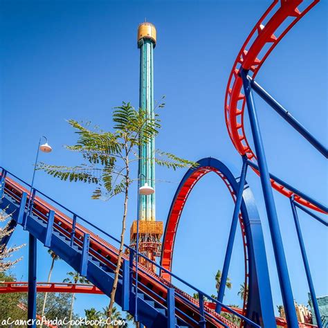 Busch Gardens - Tampa, FL - A Camera and A Cookbook