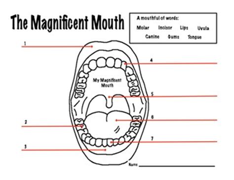 Mouth Dental Health Magnificent Mouth Worksheet by Kate's Classroom Cafe