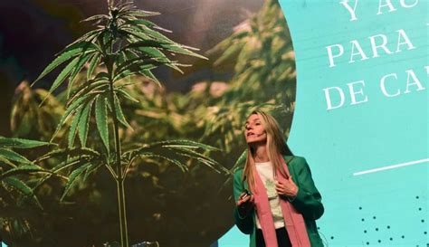 Expo Cannabis 2023 Un Evento Histórico en La Rural Agenda Urbana