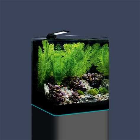 Dennerle NanoCube 20L