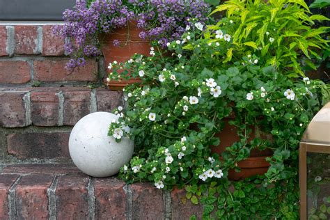 Concrete Garden Balls...an easy DIY · Nourish and Nestle