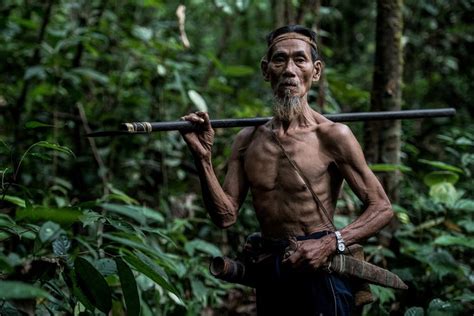 Foto Berita Foto Punan Batu Suku Pemburu Dan Peramu Terakhir Di