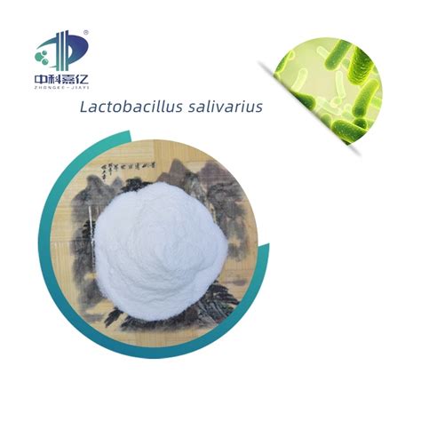 Food Grade Lactobacillus Salivarius Probiotic Supplement For Digestion