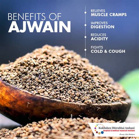 Benefits Of Ajwain Health Tips From Kokilaben Hospital