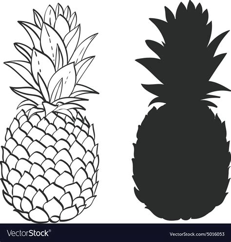 Black And White Pineapple Royalty Free Vector Image