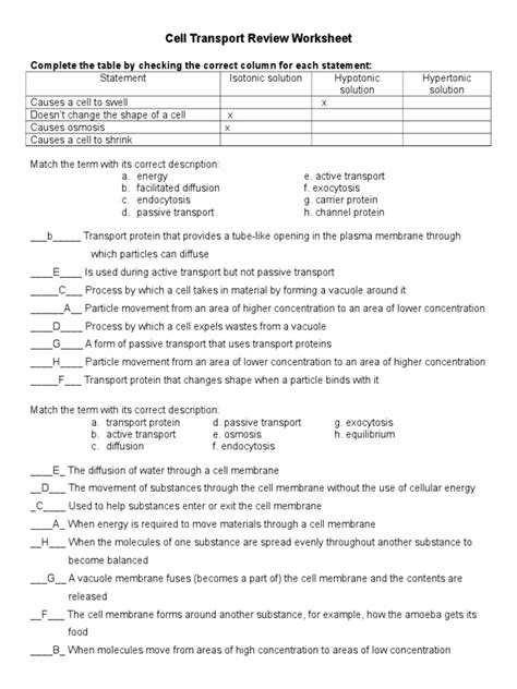 34 Cellular Transport Review Worksheet Answer Key Support Worksheet