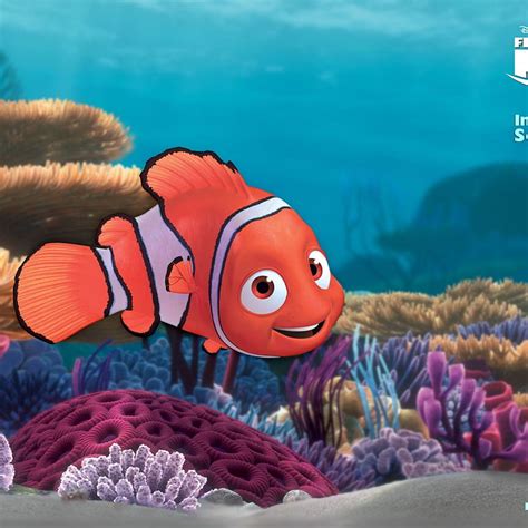 Finding Nemo Backgrounds Nemo Light Hd Phone Wallpaper Pxfuel