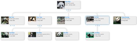 Pan Pan’s family tree - Blog for Entitree