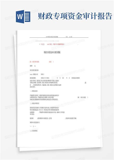 2018 财政专项资金审计报告 范文版9页word模板下载编号lmvjjjwo熊猫办公