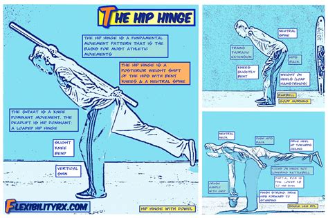 Correcting Forward Head Posture With The Hip Hinge Flexibilityrx