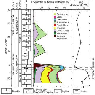 Conodonte Hindeodus parvus marco bioestratigráfico do início do