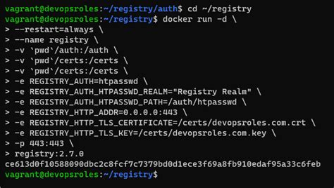 Deploy A Self Hosted Docker Registry Better 2025