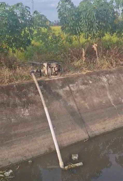 Sawah Terancam Gagal Panen Di Sulsel Kementan Lakukan Ini