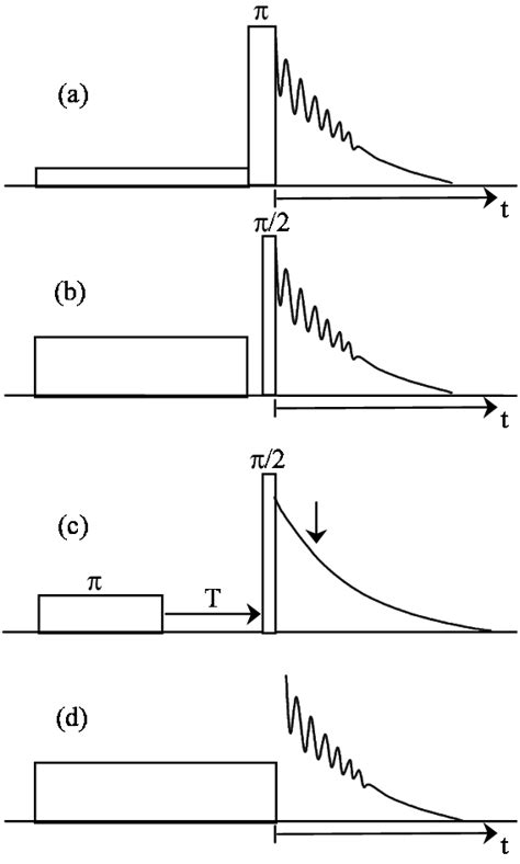 1 Pulse Schemes Which Employ A Selective Excitation Pulse To Observe