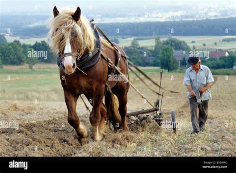 Labranza labranza trabajo con arado de caballos fotografías e imágenes