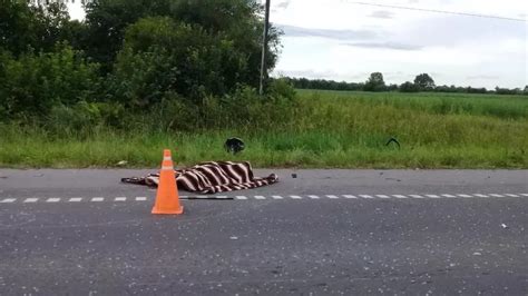 Dos J Venes Murieron Al Chocar Una Moto Y Un Colectivo En Ruta