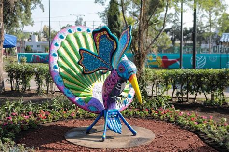 Bosque de Tláhuac recibe manita de gato esto es lo que hallarás