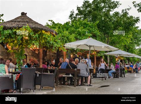 Purbach Am Neusiedler See Kellergasse Lane Or Hollow Way With Wine