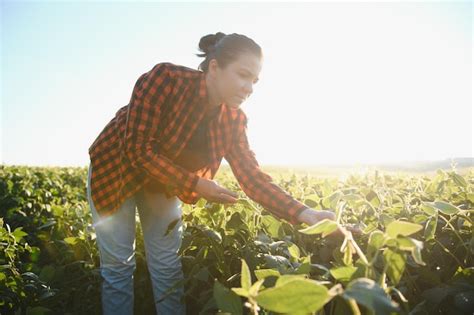 Mujer agricultora o agrónoma examinando plantas de soja verde en el