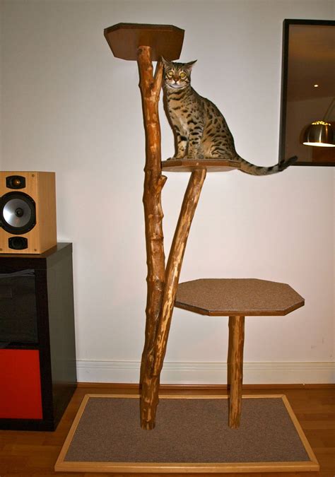 Koogatree Natural Handmade Giant Cat Tree Hopscotch Giant Cat