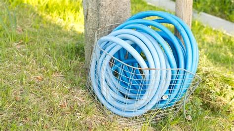 The Best Storage Container For Expandable Hose - Garden Hose Zone