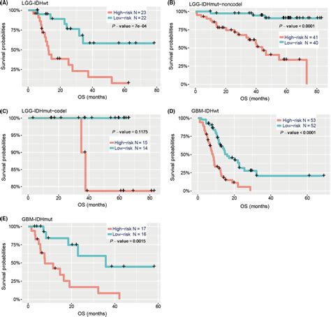 Prediction Of Outcome In Diverse Cohorts Stratified By Idh Mutation And