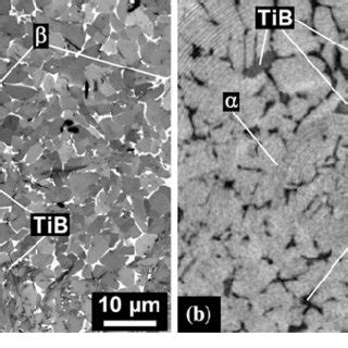 D Microstructure Of The Ti Tib W Composite Showing A And B Phases