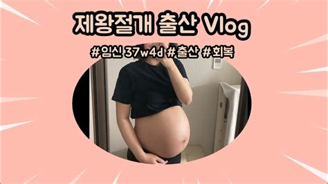 출산 브이로그🤰🏻ㅣ37주차 ㅣ제왕절개and회복ㅣ대학병원 출산🏥ㅣ초산모👶🏻 Youtube