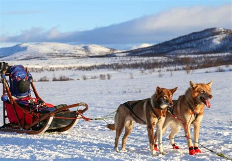 Kolari Photos - Featured Images of Kolari, Lapland - Tripadvisor