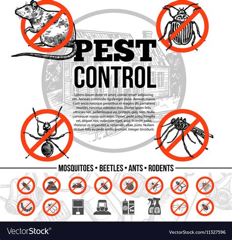 Pest Control Infographics Royalty Free Vector Image