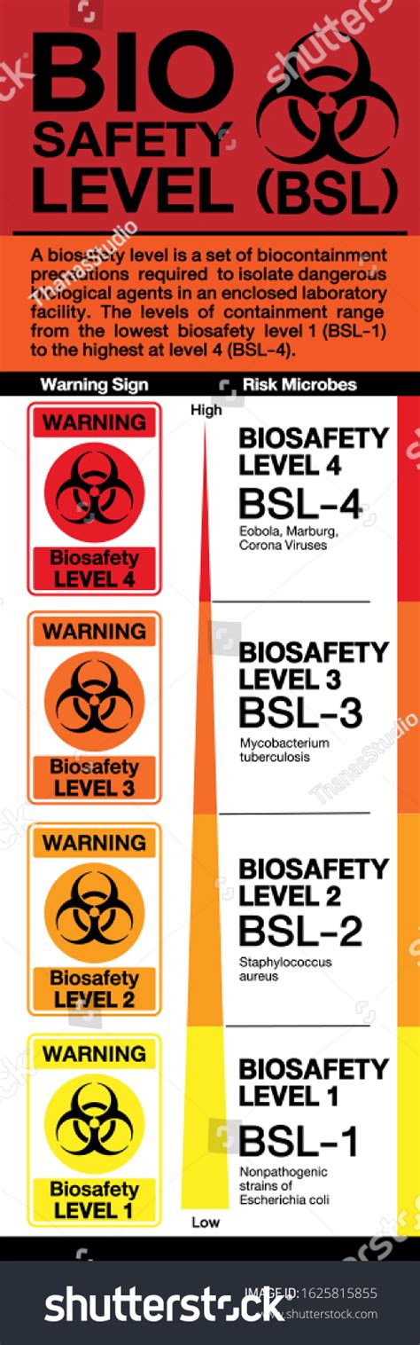 Biosafety Level Bsl Bsl Bsl Bsl Laboratory