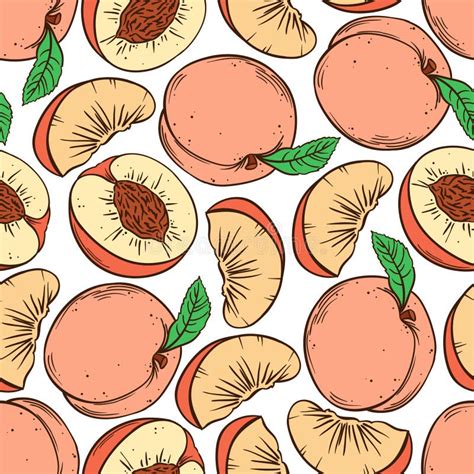 Peach Hand Drawn Sketch Vector Illustration Seamless Pattern Stock