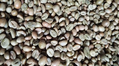 Robusta Green Beans Grade B 2 Inaexport