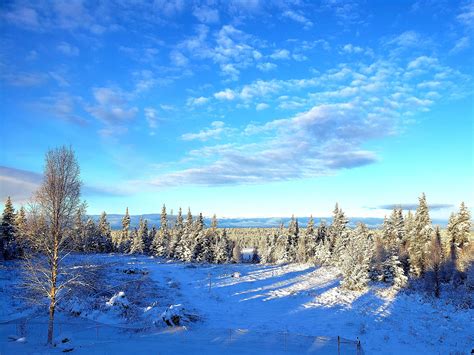 Ice Blue. Kenai Peninsula, Alaska : r/winterporn